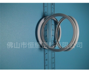 HVF、HVG端面內(nèi)、外向泛塞封 (6)
