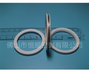 HVF、HVG端面內(nèi)、外向泛塞封 (10)