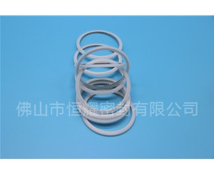 HVF、HVG端面內(nèi)、外向泛塞封 (15)