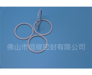 HVF、HVG端面內(nèi)、外向泛塞封 (20)