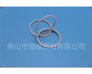 HVF、HVG端面內(nèi)、外向泛塞封 (21)